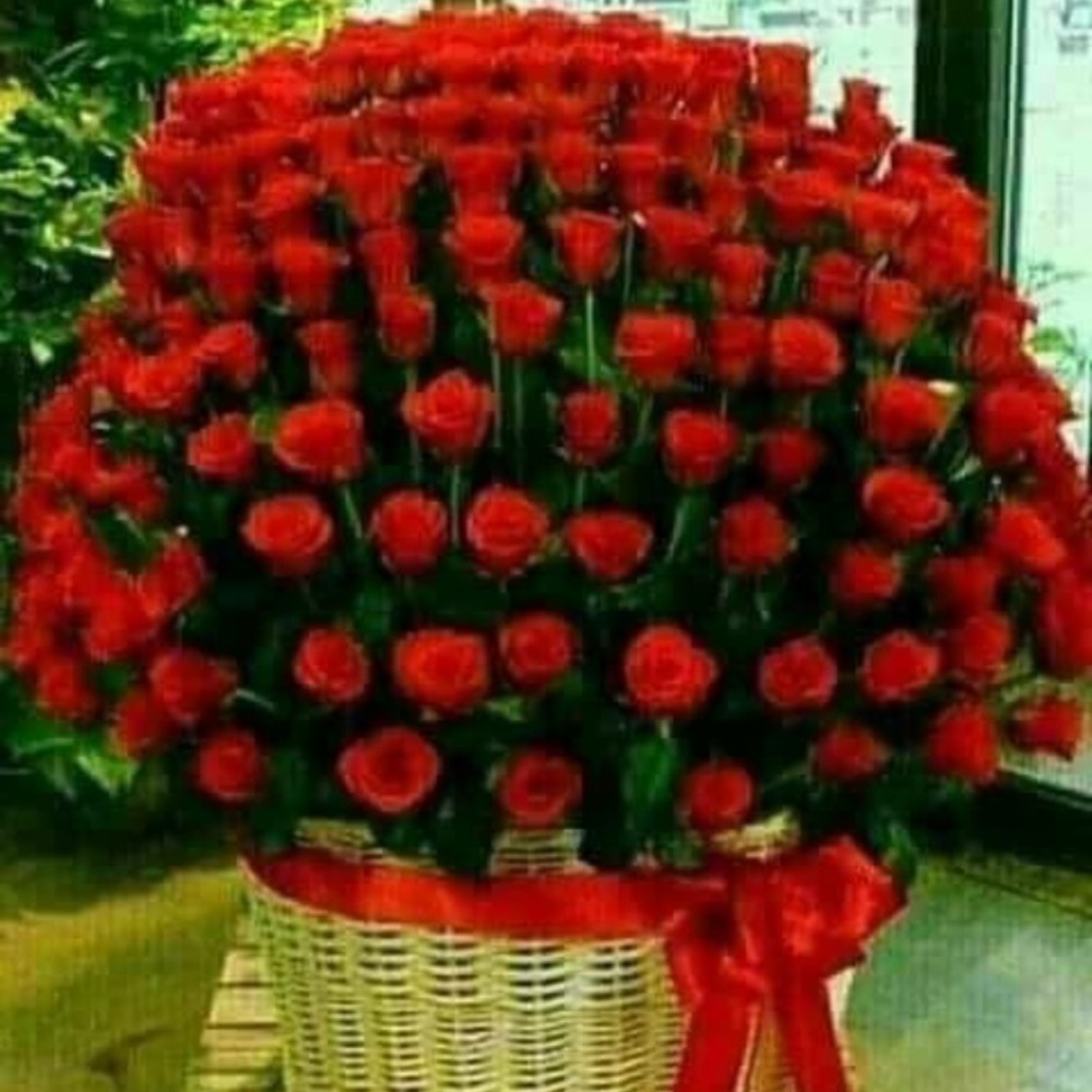 Meet your Posher, Ovidia